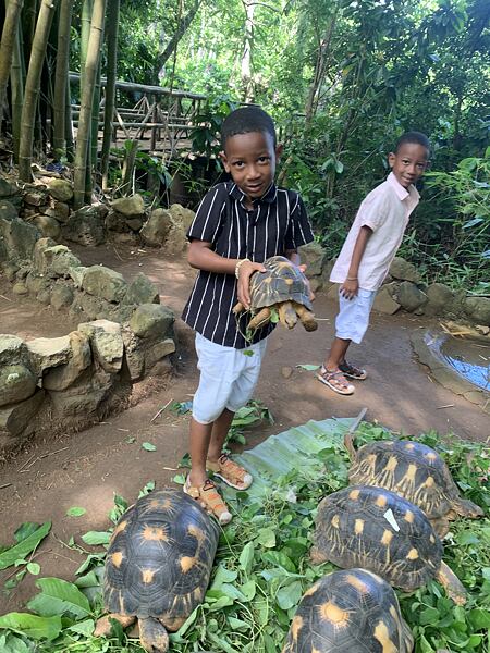 Kraina Lemurii - ikoną Madagaskaru są żółwie, żyje ich tu kilka gatunków. Najbardziej kolorowe są zagrożone wyginięciem żółwie szylkretowe