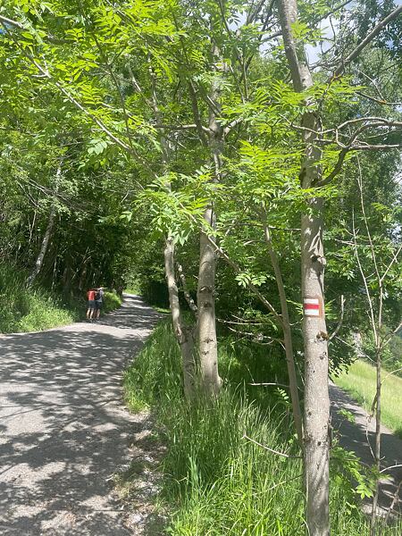 Przy ośrodku Orea szlak prowadzi lewą stroną doliny, podążaj za czerwonym znakiem turystycznym.