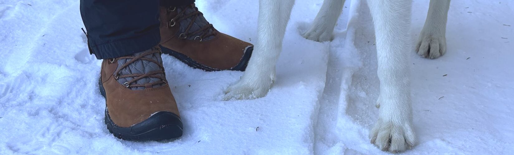 Test damskich butów zimowych KEEN GRETA BOOT II WP