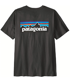 Koszulka męska PATAGONIA M P-6 LOGO T-SHIRT